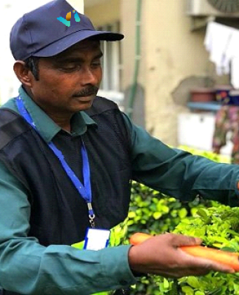 horti horti